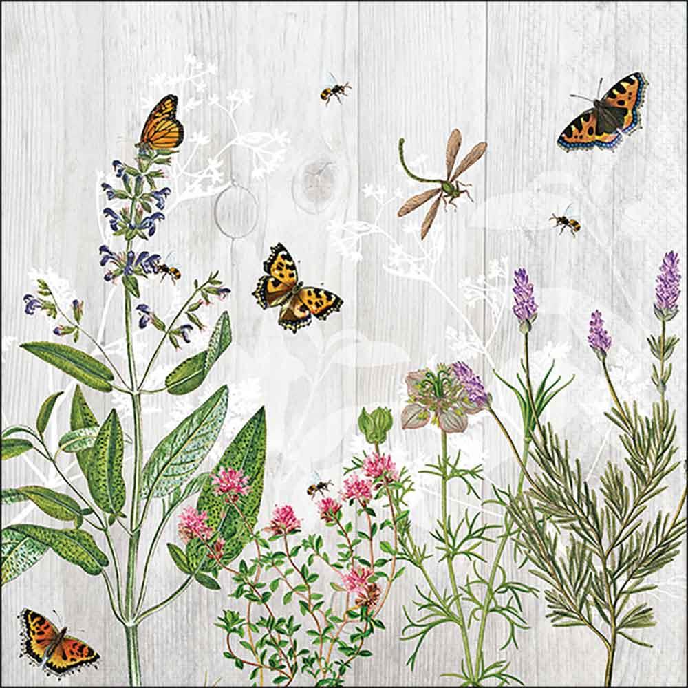 Serviette 33x33 cm Kräutergarten
