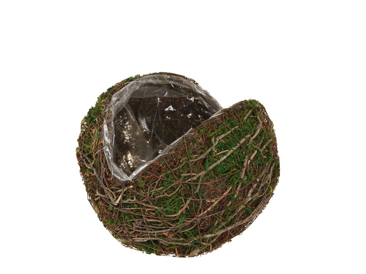 Kugel z. Pflanzen Rebe-Moos D25cm