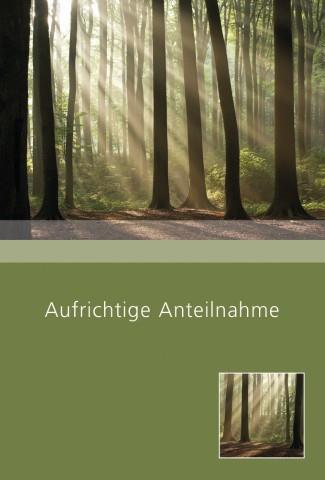 Trauerkarten Aufrichtige Anteilnahme 11,5x17 cm