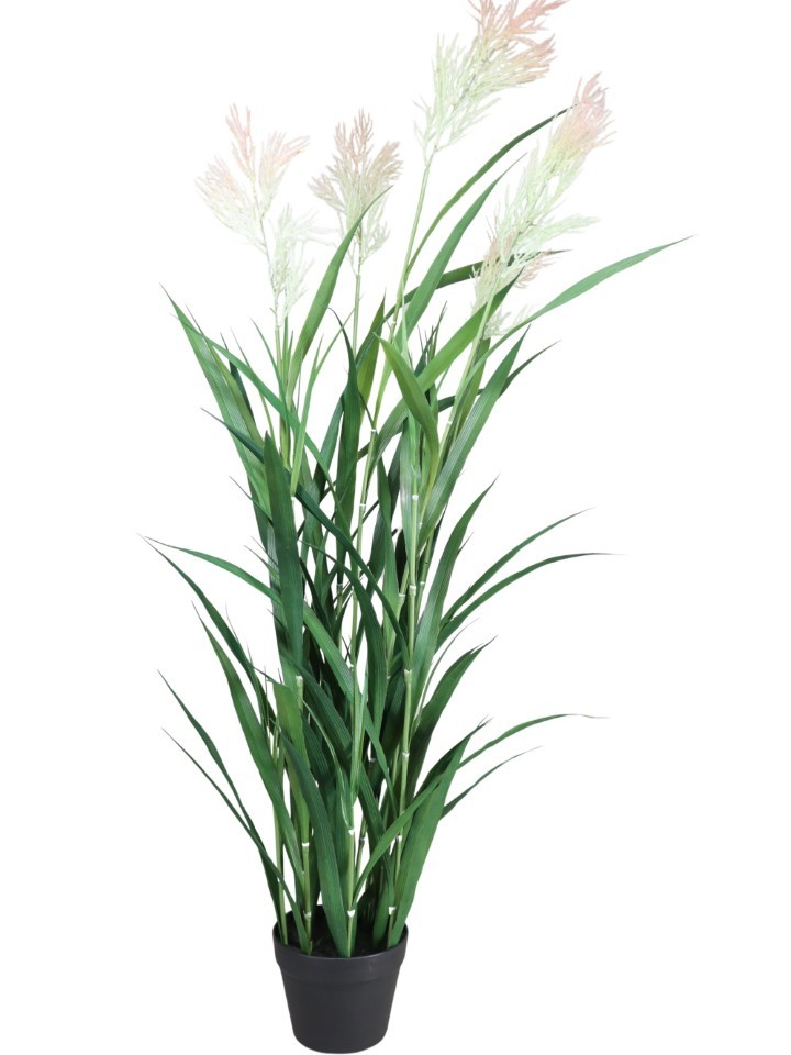 Bonsai im Topf H137cm grün