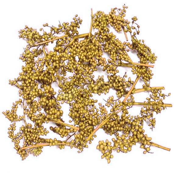 Canella spezial große Beeren gelb