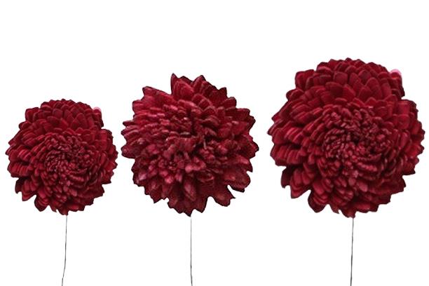 Zinie Sola am Draht D6-8-10cm sortiert je 12St. bordeaux