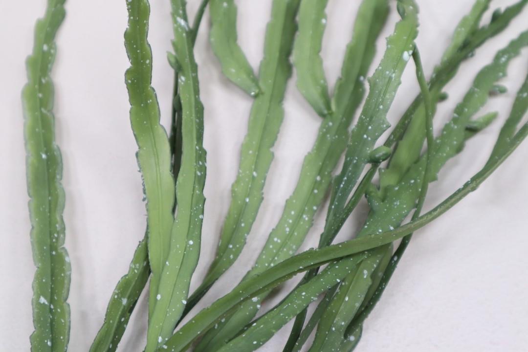 Kaktuspflanze hängend grün L68cm