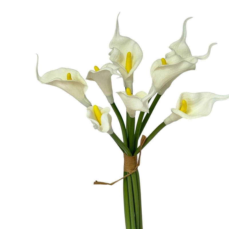 Callabund 9Blüten creme H28cm