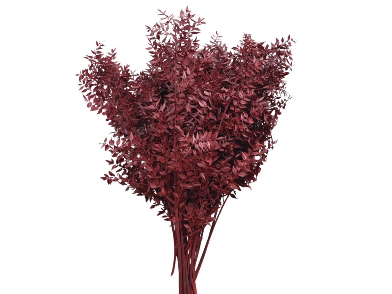 Ruskus rotbraun 88 1kg