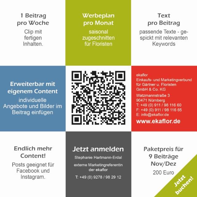 ekaflor Winterpaket Social-Media-Kampagnen für Floristen