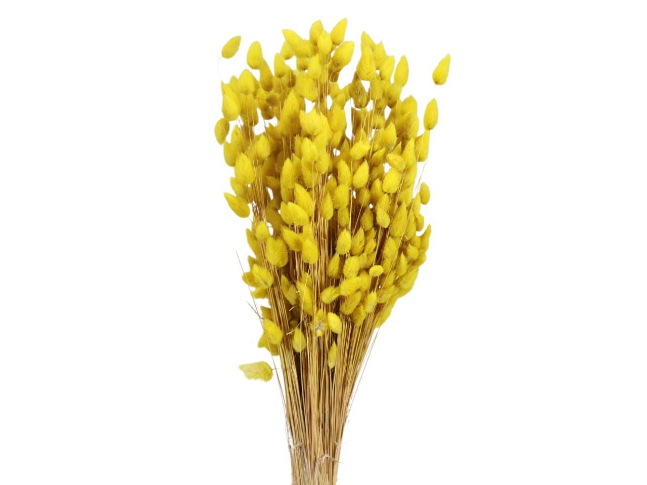 Lagurus gelb mittel 100gr.