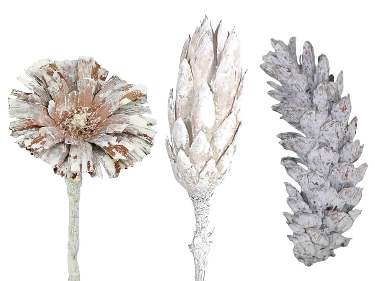 white - washed