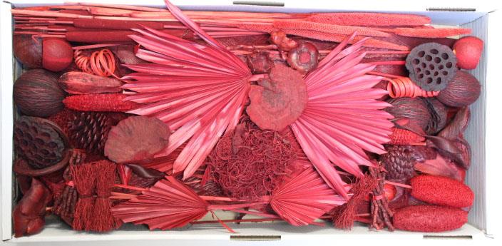 Exotensortiment indisch rot groß 100 Stück