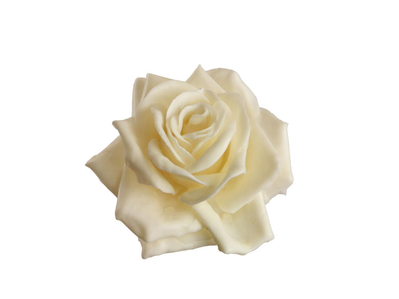 Rosenblüte Wachs 10cm creme in Holzbox
