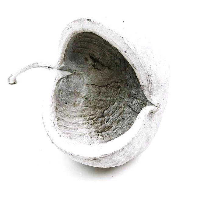 Buddha Nut D12cm white washed