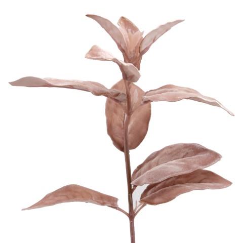 Lammohrblatt Zweig Velvet 66cm rosa