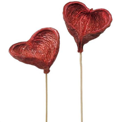 Badam gestielt D8-10H7-9L40cm rot frosted