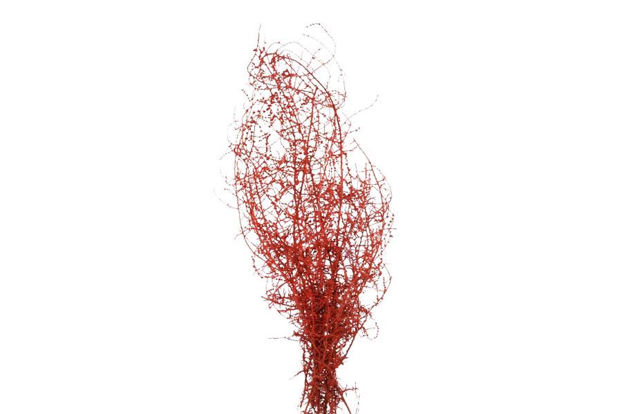 Stoebe 150gr. L35-40cm rot frosted