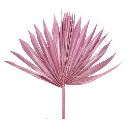 Palmspeer Sun Cut mixed altrosa