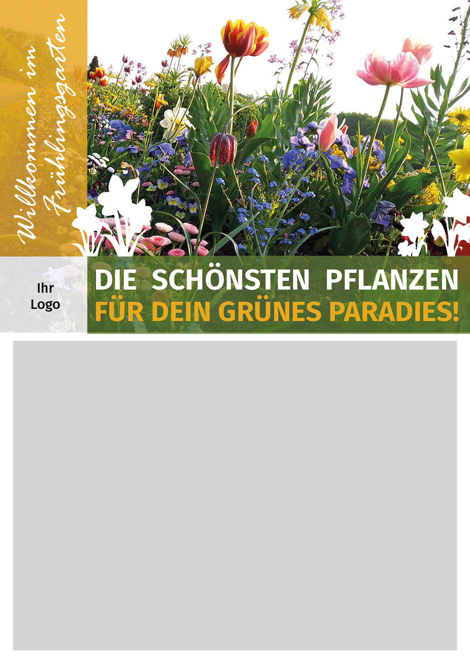 Aktionsvordruck PDF + Word