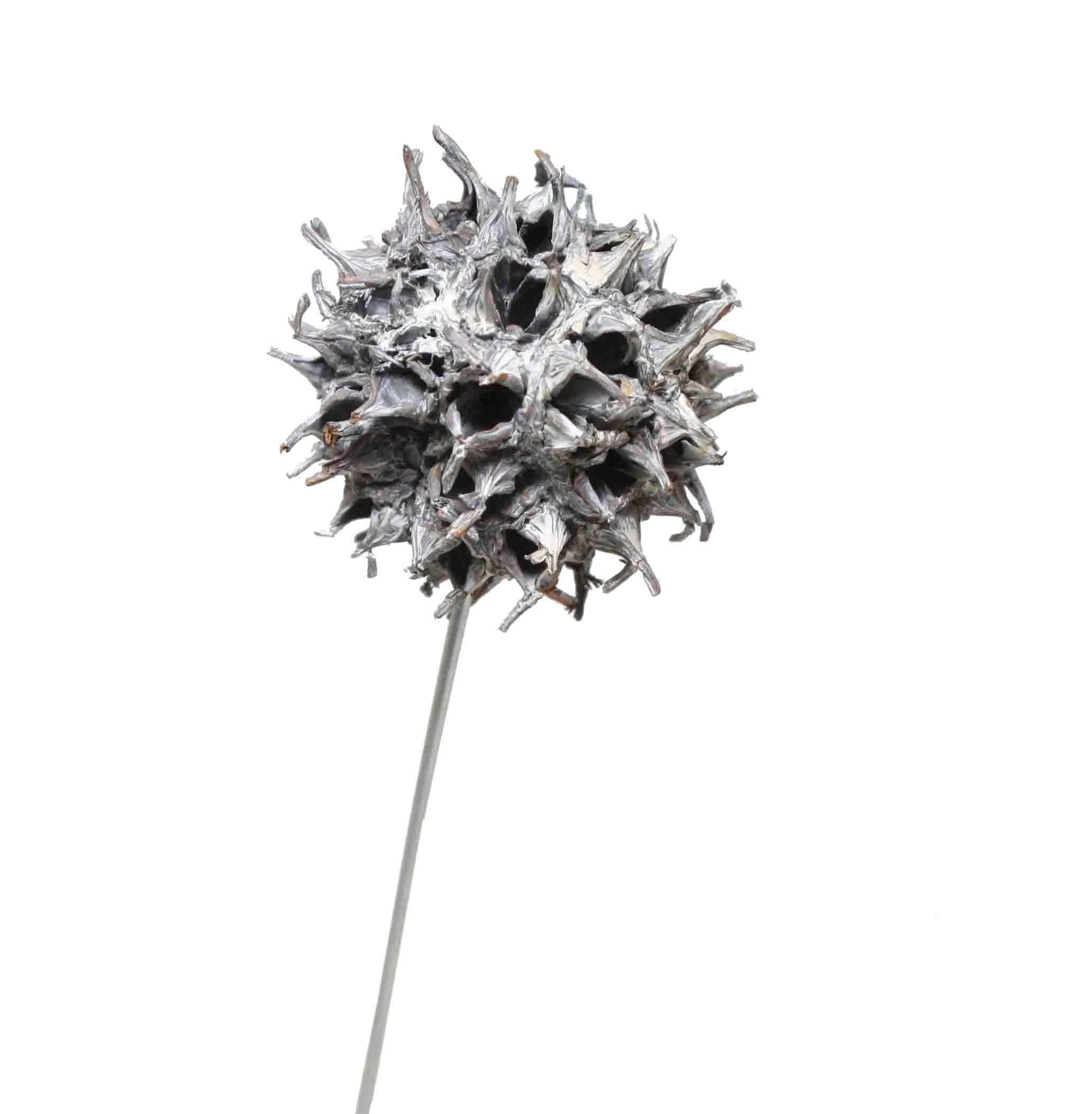 Amberbaum am Draht D2,5-3,5cm white washed