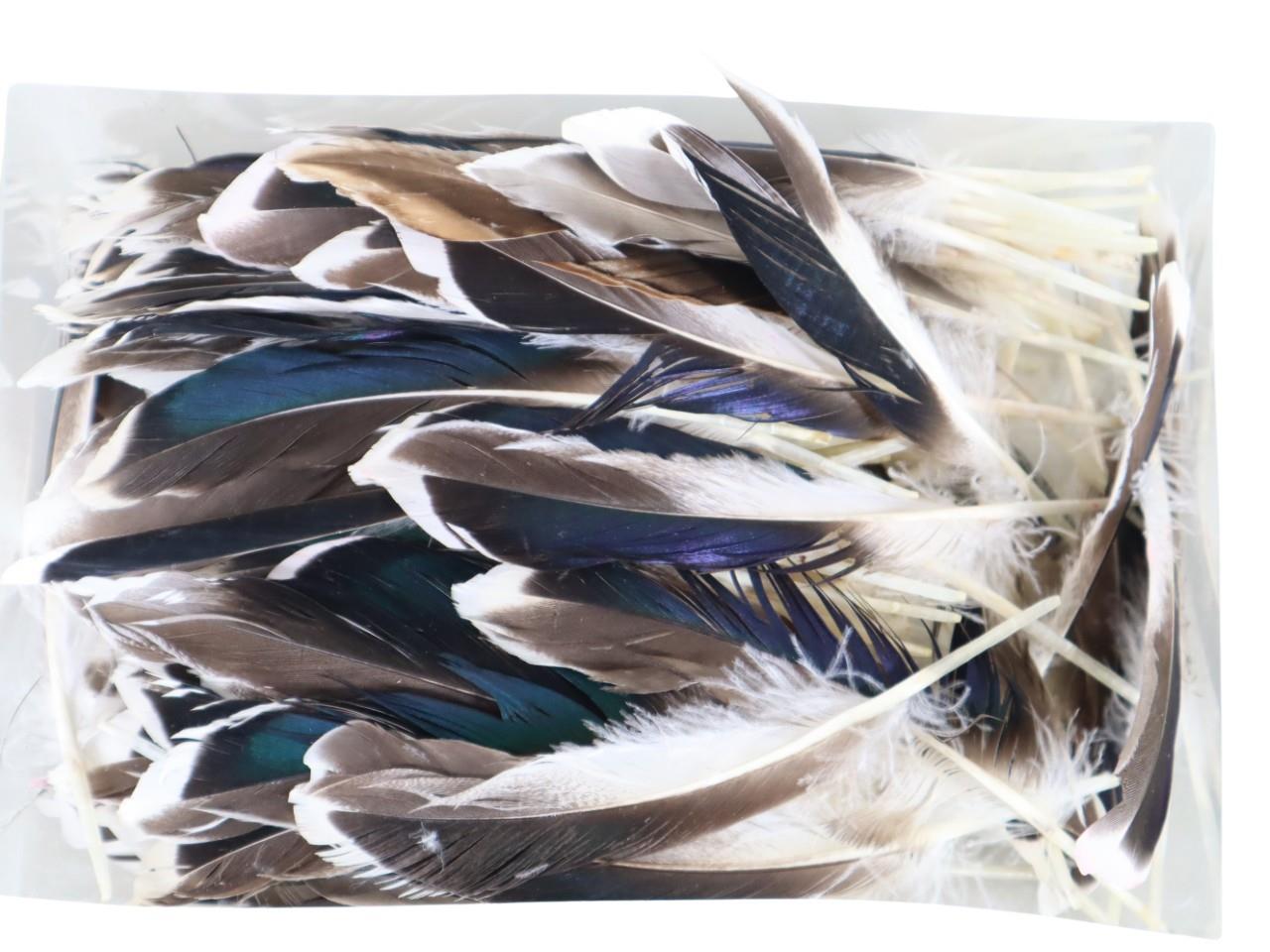 Federn natur/weiß 200Stck Lca. 12-13cm