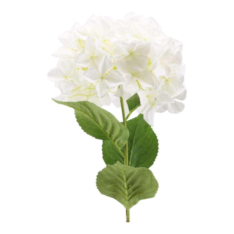 Hortensie XL weiss D30xH95cm