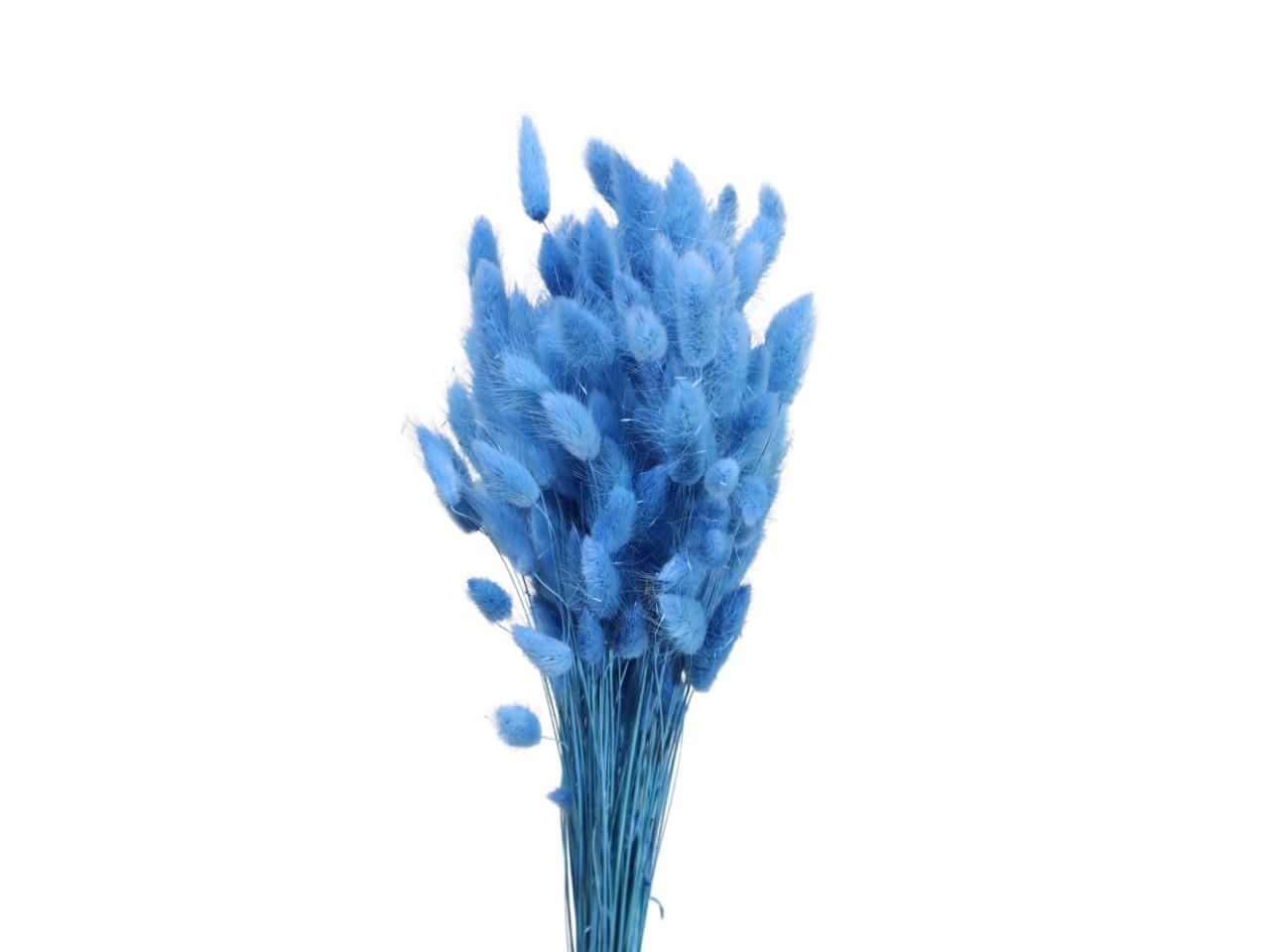 Lagurus hellblau 76/P 100gr.