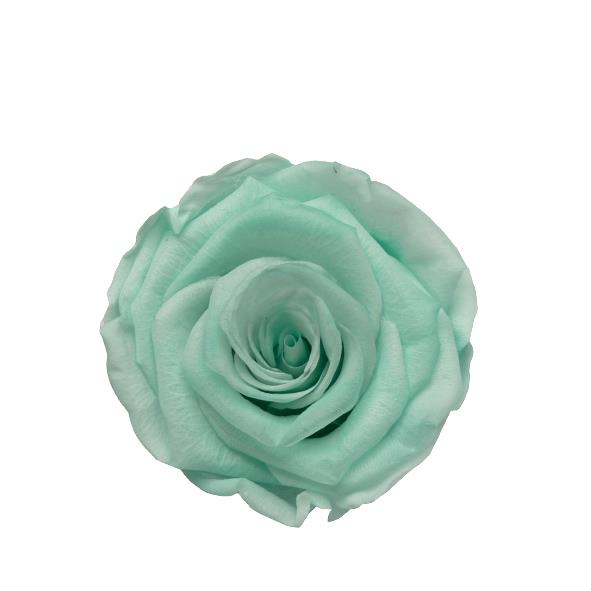 Rose "Extra" stabilisiert H6cmD6,5cm Majestic LightMintNETTO