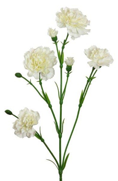 Spray-Nelke x9 weiss 62 cm