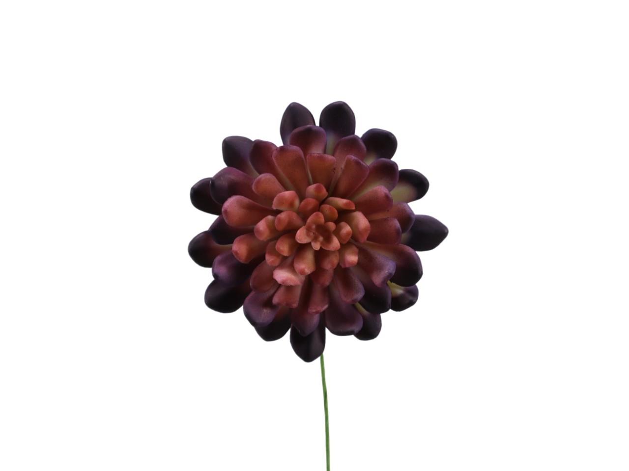 Sukkulente m. Drahtpick Kunststoff burgund D10 cm