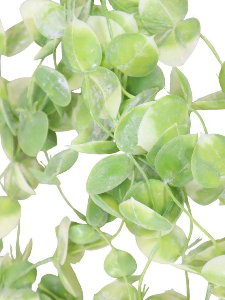 Smilaxhänger  grün-creme L95cm