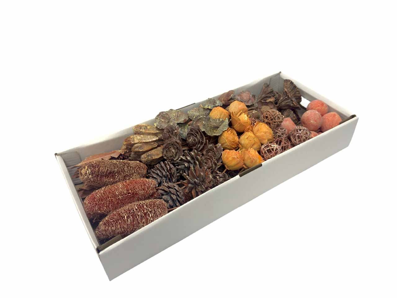 Exotensortiment indisch gestielt klein orange frosted