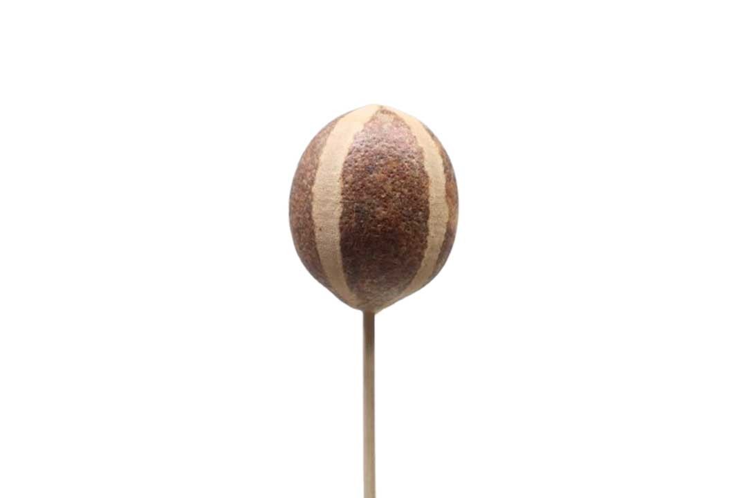 Belani-Apfel Pumpkin D6,5cmL40cm gestielt natur
