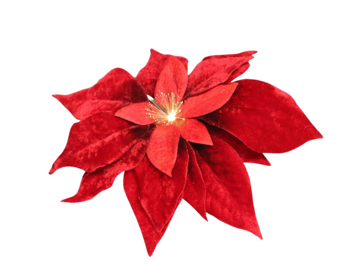 Poinsettia Blüte rot m. Clip und LED-Beleuchtung D25cm