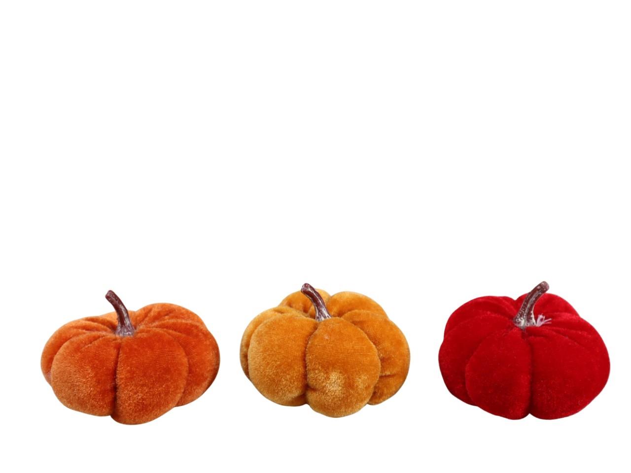 Kürbisse Samt herbstmix 8cm