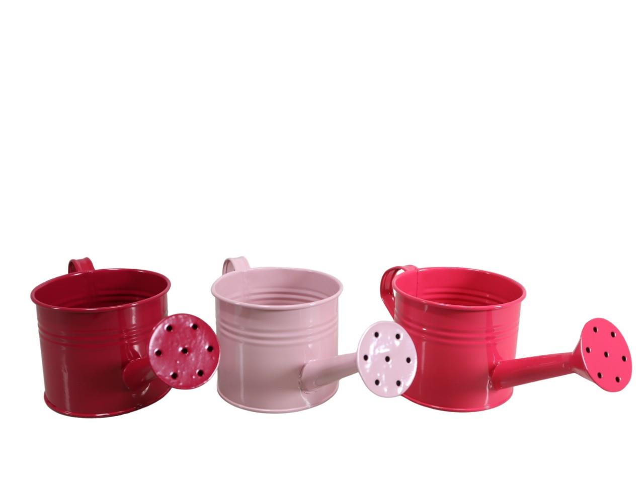 Pflanzgießkanne Metall rosamix D11xL26cm