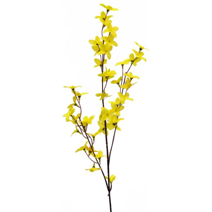 Forsythie 80cm gelb