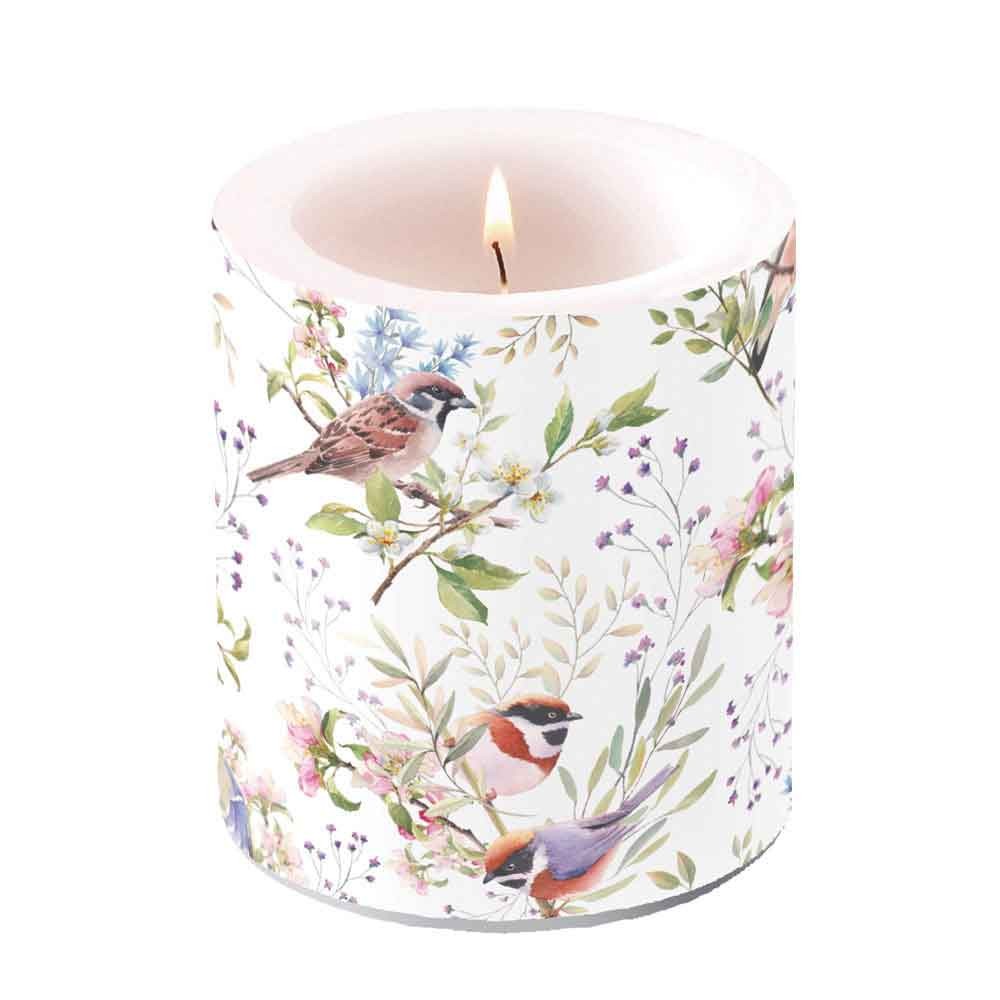 Kerze H 10 cm D 10 cm Busy Birds