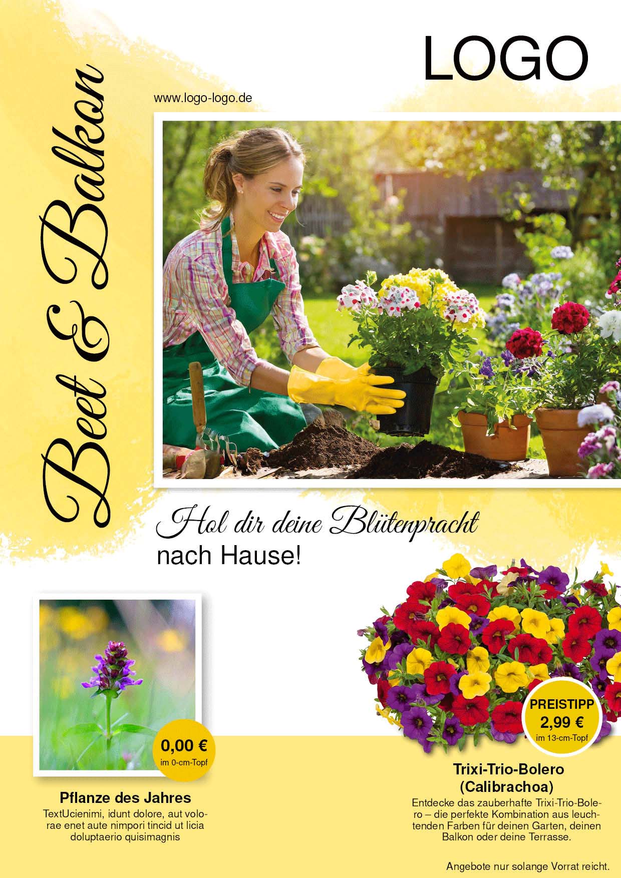 Beilagen Artikel (Login nötig!)