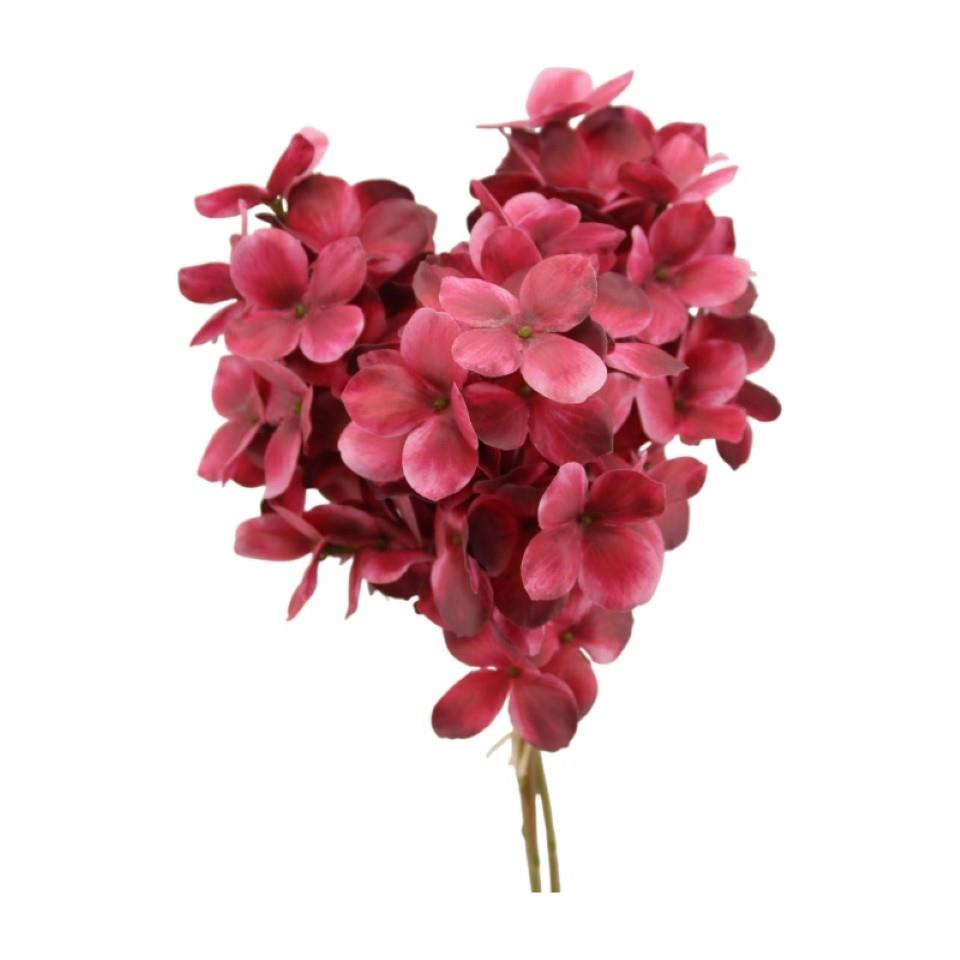 Rispenhortensie 3fach beauty H30cm