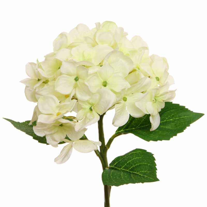 Hortensie 36cm creme