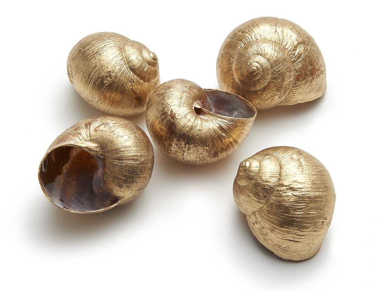 Landschnecke groß gold