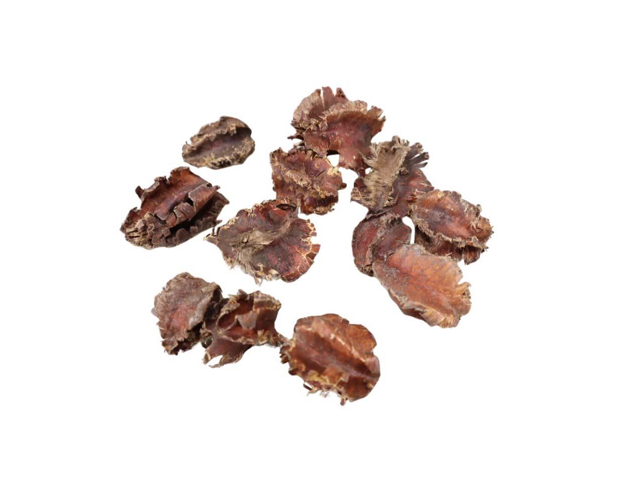 Arjuna Frucht natur 1kg