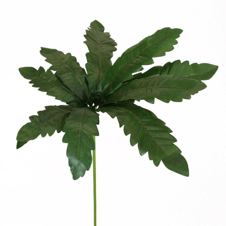 Schefflera Blatt 80 cm grün