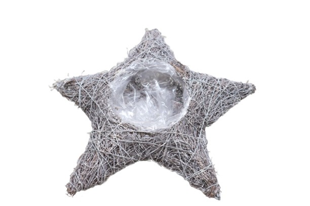 Stern z. Pflanzen Rebe gekalkt D28cm