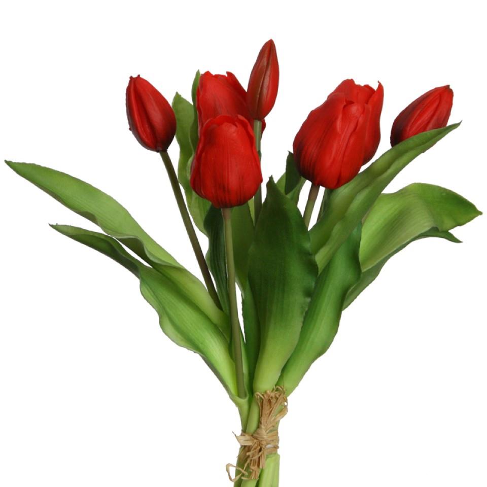 Tulpenbund 7 Blüten soft touch rot H30cm