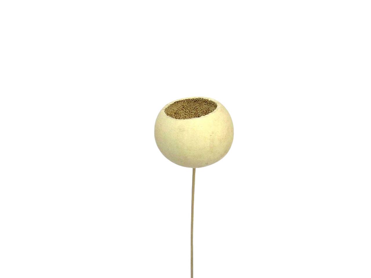 Bell Cup mini gebleicht gestielt