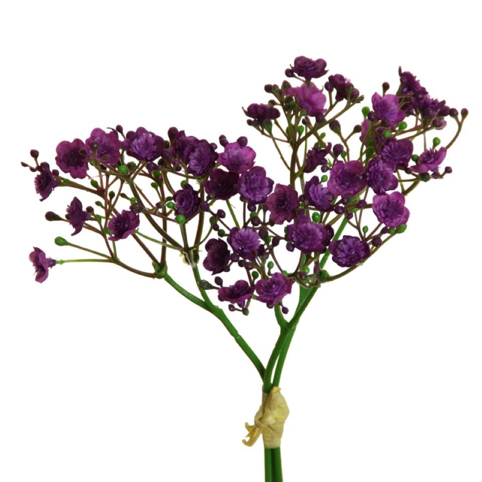 Gypso/Schleierkraut Bündchen 3 Stiele purple H30cm