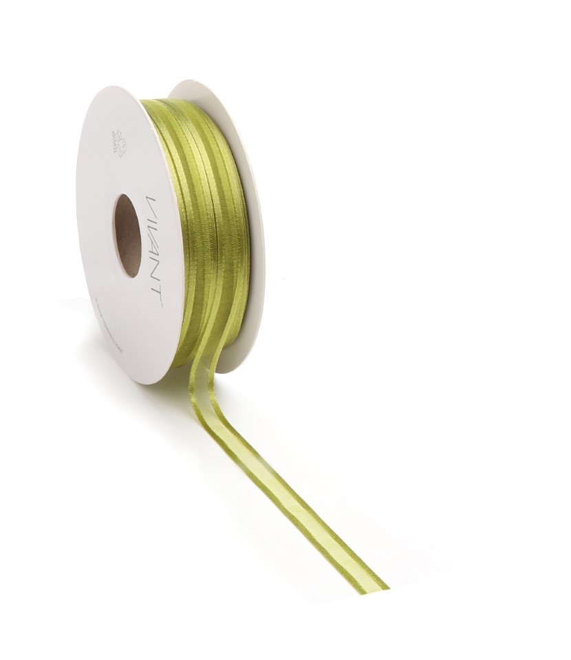 Band Prego Organza/Satinrand 10 mm 50 Meter hellgrün 62A