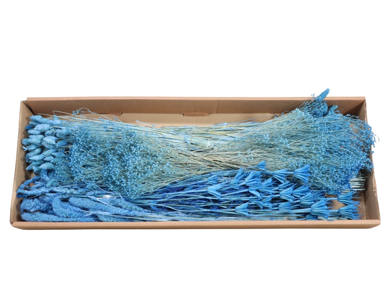 Gräser sort. 350 gr. hellblau 76/P