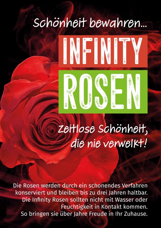 ekaflor Glycerinrosen Plakat A1 inkl. Druck (2Stk)