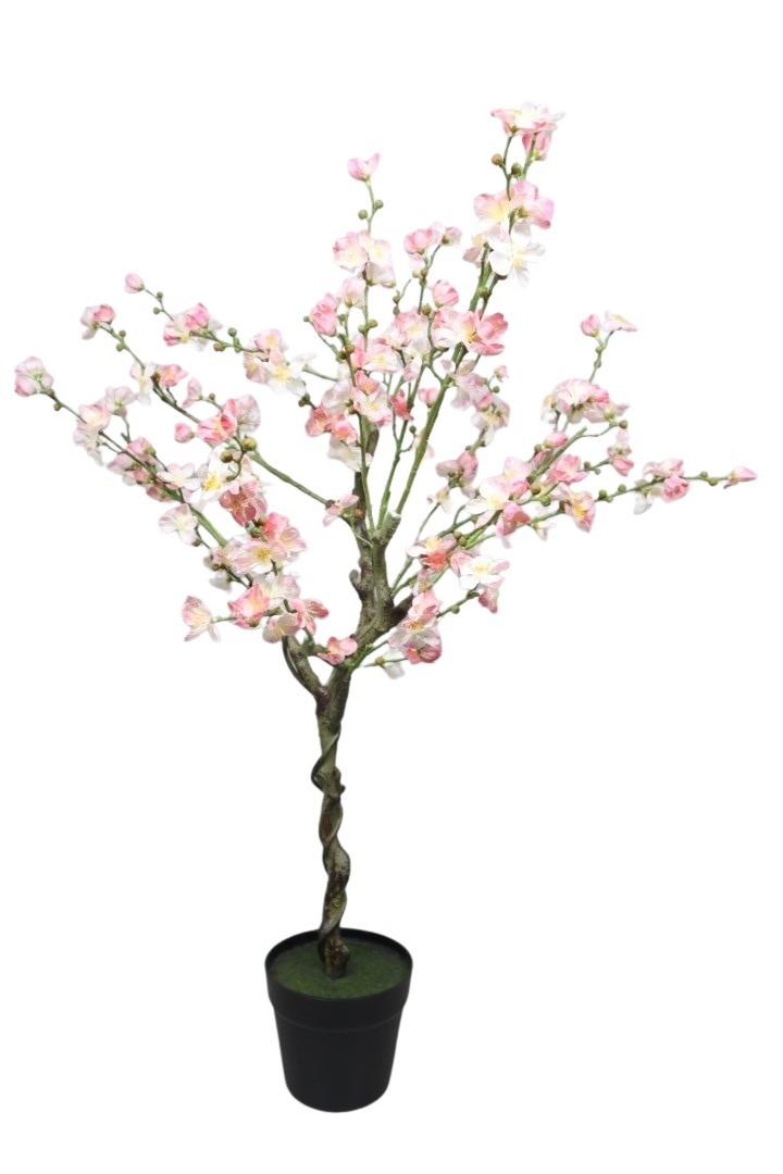 Pfirsichblütenbaum im Topf weiß/rosa 120cm