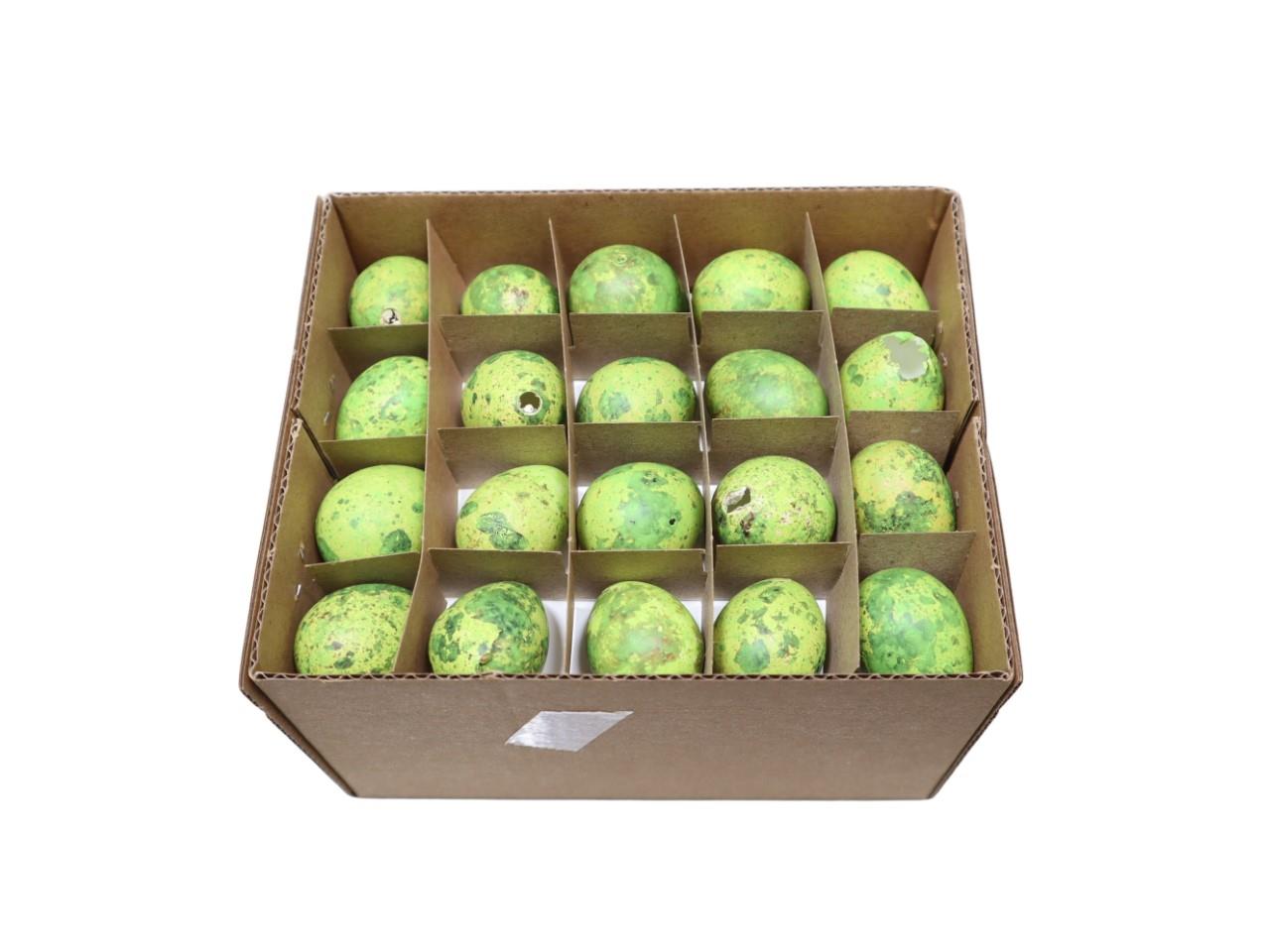 Wachtel Ei apfelgrün